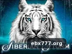 ebx777 Login - ebx777 1